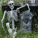 5 ft 5 in Halloween Poseable Life Size Skeleton Party Prop Human Anatomy Model