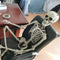 5 ft 5 in Halloween Poseable Life Size Skeleton Party Prop Human Anatomy Model