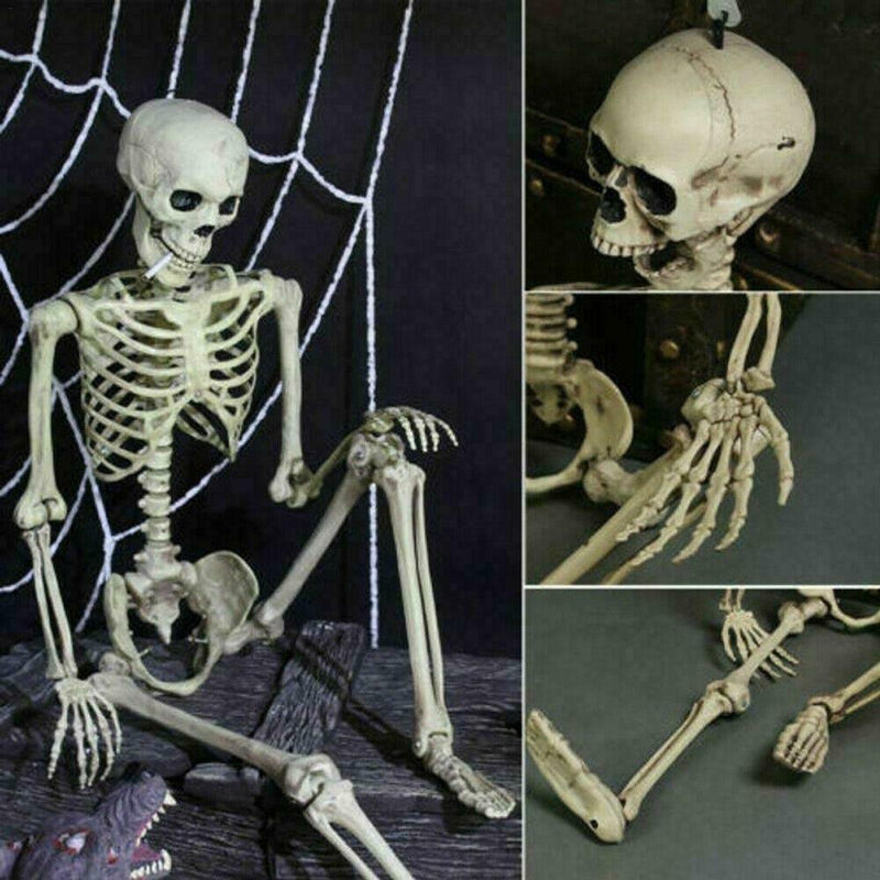 5 ft 5 in Halloween Poseable Life Size Skeleton Party Prop Human Anatomy Model