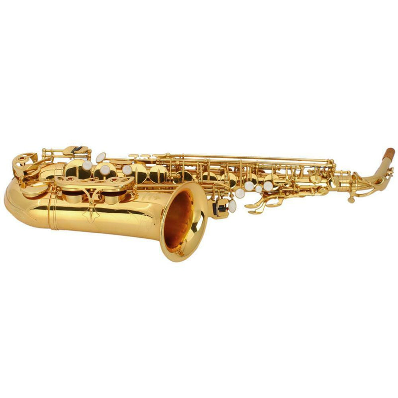 New Professional Band Eb Alto Sax Saxophone Paint Gold w/ Case & Accessories