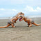 Inflatable`T-REX Dinosaur Adult Costume Halloween