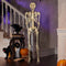 5 ft 5 in Halloween Poseable Life Size Skeleton Party Prop Human Anatomy Model