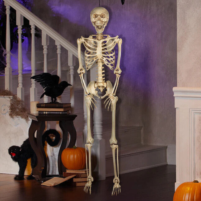 5 ft 5 in Halloween Poseable Life Size Skeleton Party Prop Human Anatomy Model