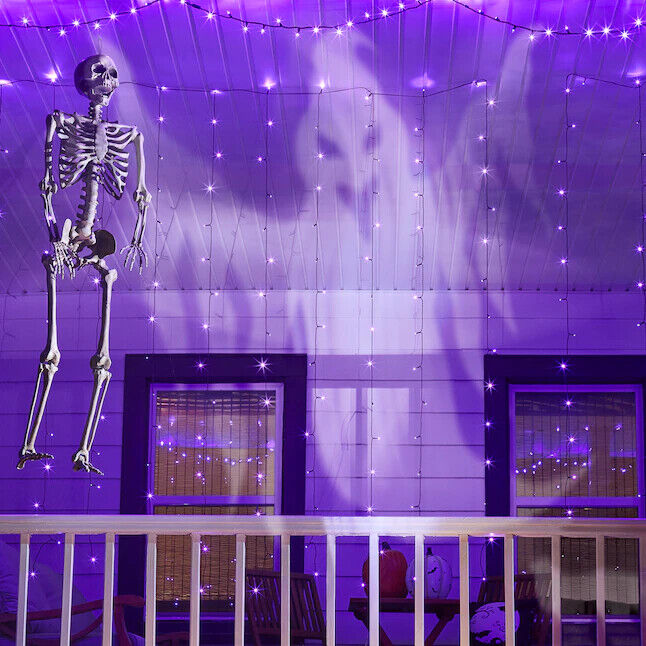 5 ft 5 in Halloween Poseable Life Size Skeleton Party Prop Human Anatomy Model
