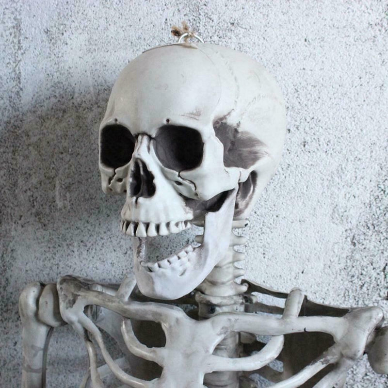 5 ft 5 in Halloween Poseable Life Size Skeleton Party Prop Human Anatomy Model