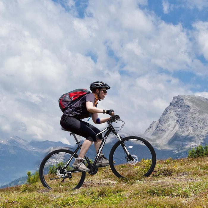 Adult Mens Mountain Bike, High Carbon Steel Frame, 21-Speed, 29'' Wheels