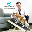 Foldable Dog Ramp for Bed