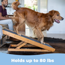 Foldable Dog Ramp for Bed