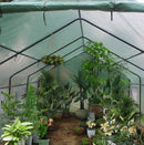 Greenhouse Gardening Spiked Tent