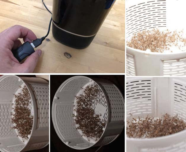 BuzzBGone – LED Mosquito Killer Lamp USB Powered Mosquito Catcher Zapper