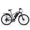 Adult Electric Mountain Bike